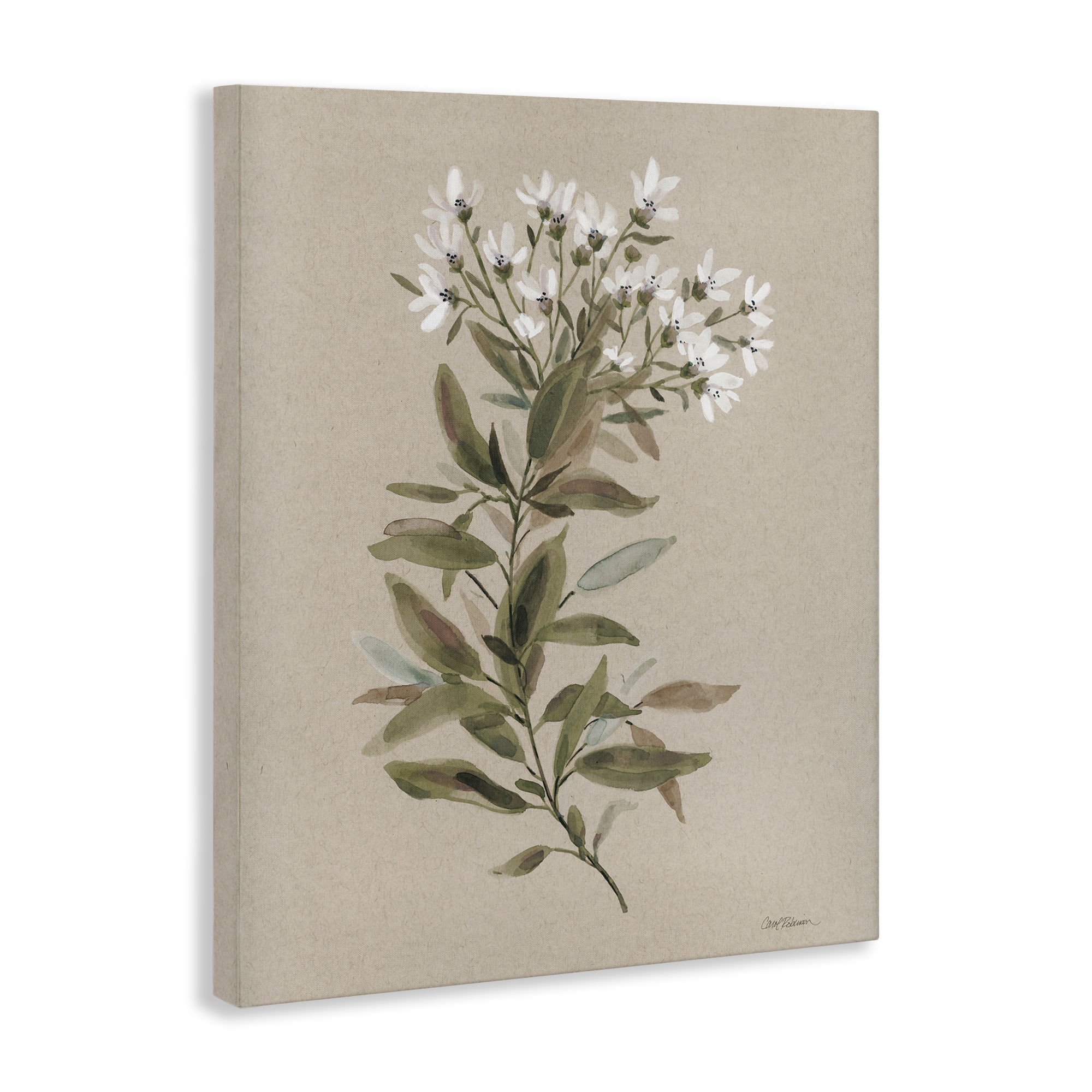 Stupell Industries Watercolor Wildflower Sprig Botanical & Floral Painting Gallery Wrapped Canvas Art Print Wall Art, 36 x 48