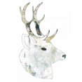 thumbnail image 3 of Ogren, Sarah 19x24 Black Modern Framed Museum Art Print Titled - Golden Buck, 3 of 5