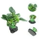 thumbnail image 5 of KAKOWELY Decoración de plantas artificiales para acuarios, pecera ..., 5 of 5