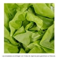 thumbnail image 2 of Lechuga francesa Eva hidropónica 1 pieza, 2 of 3
