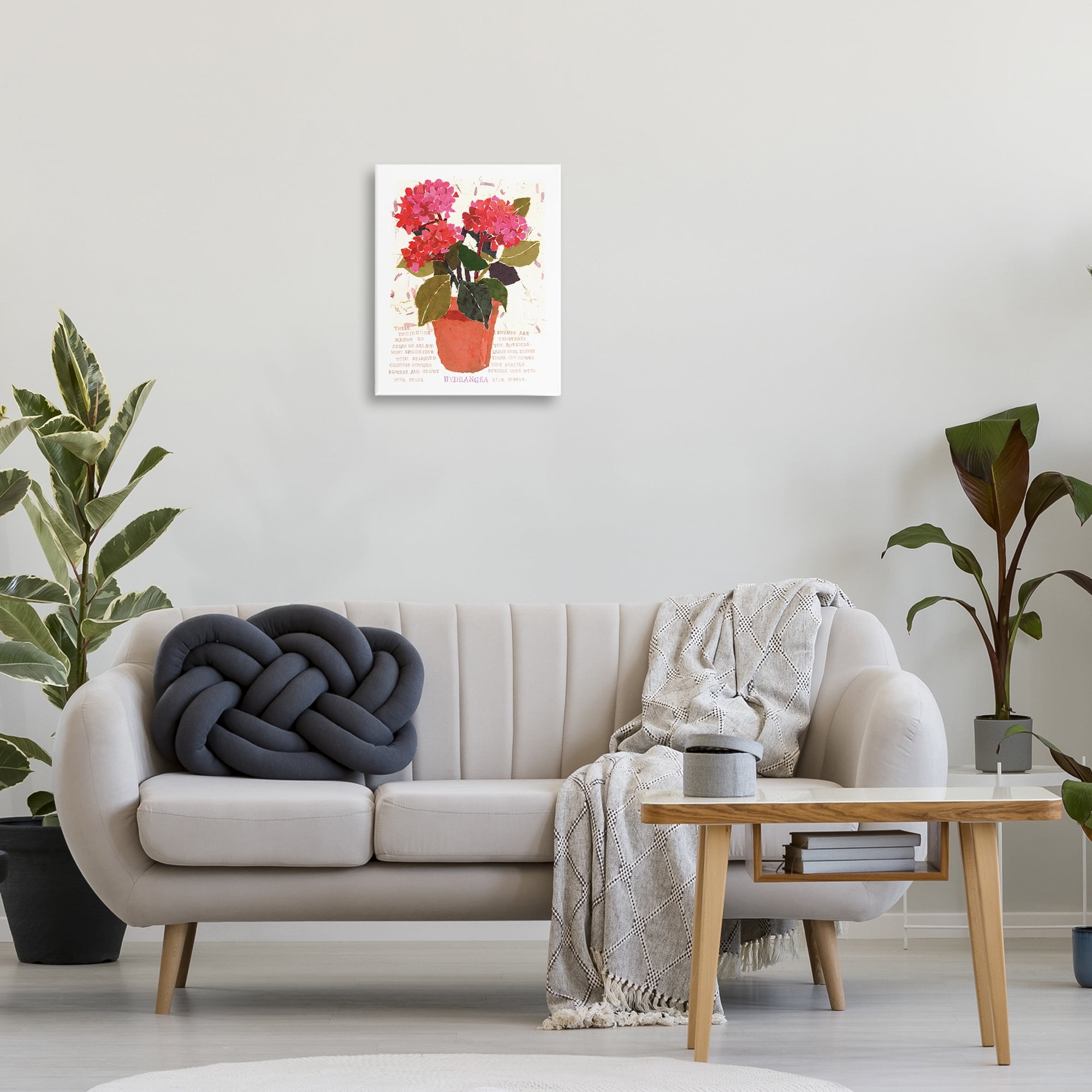 Stupell Industries Bold Red Hydrangea Botanical & Floral Painting Gallery Wrapped Canvas Art Print Wall Art, 16 x 20