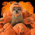 thumbnail image 6 of Pet Hat Pumpkin Pattern Dress-up Pet Dogs Pumpkin for Halloween, 6 of 6
