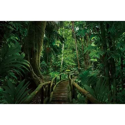 Christmas02 Home ration Backdrop Xmas New Year Candyland Background Child Photography Studio Photo Accessories