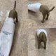 thumbnail image 4 of Pooping Dog Butt Toothpaste Topper, Pooping Toothpaste Cap, Baby Toothpaste Dispenser, Funny Gadgets Gift For Family, 4 of 5