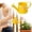 Yellow, variant on Watering Can for Indoor Plants, 35 oz/1000 ml Metal Stainless Steel Pot with Long Spout for House Bonsai Outdoor Garden Flower Decorative,White