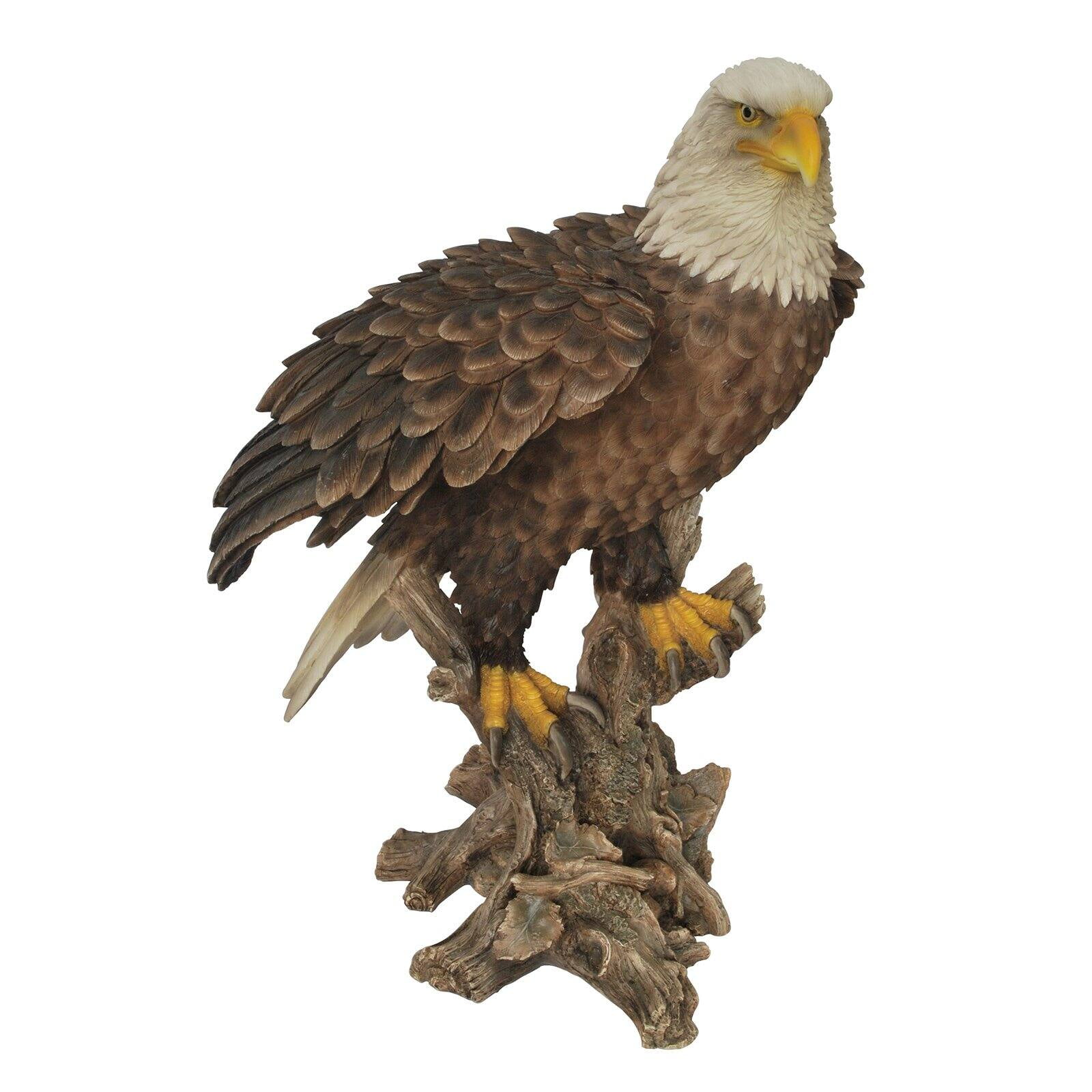 12 StealStreet SS-G-54153 Bald Eagle Head & Bust Statue with Feather on Wood Base