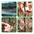 thumbnail image 4 of Playo Chico Polystrech Pelicula Estirable Emplaye Trasplante, 4 of 8