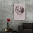 thumbnail image 6 of Epic Art 'St. Bernard' by Barbara Keith, Acrylic Glass Wall Art, 24"x36", 6 of 8