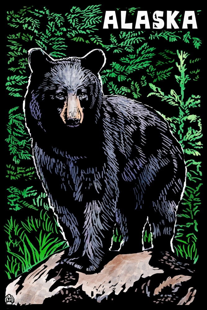 Alaska, Black Bear, Scratchboard (9x12 Wall Art Print, Home Decor