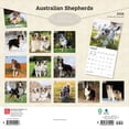 thumbnail image 2 of Australian Shepherds | 2026 12x24" (Hanging) Square Wall Calendar | Plastic-Free, 2 of 9