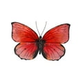 thumbnail image 2 of Eangee Home Design esh124 Butterfly Wall Decor Red & Black, 2 of 5