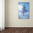 thumbnail image 3 of Trademark Fine Art 'Cold Blue' Canvas Art by Philippe Sainte-Laudy, 3 of 3