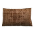 thumbnail image 1 of Ahgly Company Indoor Rectangular Mid-Century Modern Lumbar Throw Pillow, 13 inch by 19 inch, 1 of 5