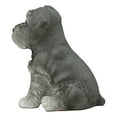 Realistic Miniature Schnauzer Puppy Statue 6.5"Tall Animal Dog
