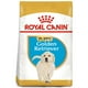 thumbnail image 1 of Alimento Seco para Cachorro Raza Golden Retriver 13.6 Kg Royal Canin Alimento Croquetas para Perro, 1 of 2