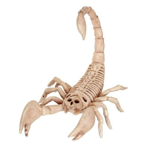 Seasons 9433566 Assortment of Animal Skeletons Halloween Decoration White - pack of 12