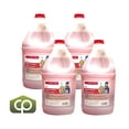thumbnail image 1 of Slush Puppie Sirop pour Barbotine à la Melon D\'eau Concentré 5:1 135 Oz/4 L, 1 of 4
