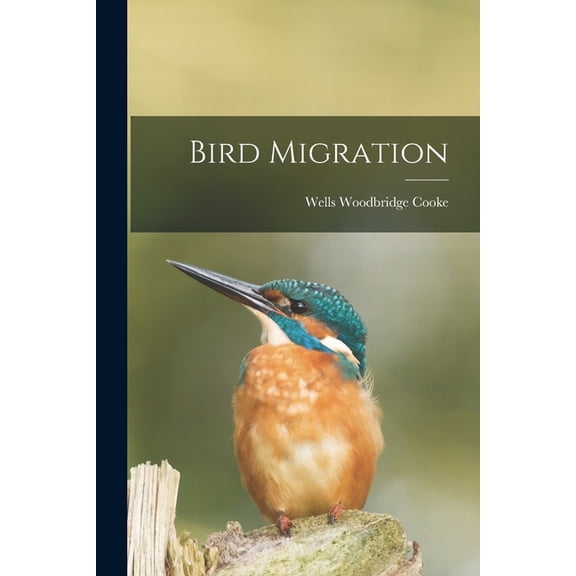 Bird Migration, (Paperback)