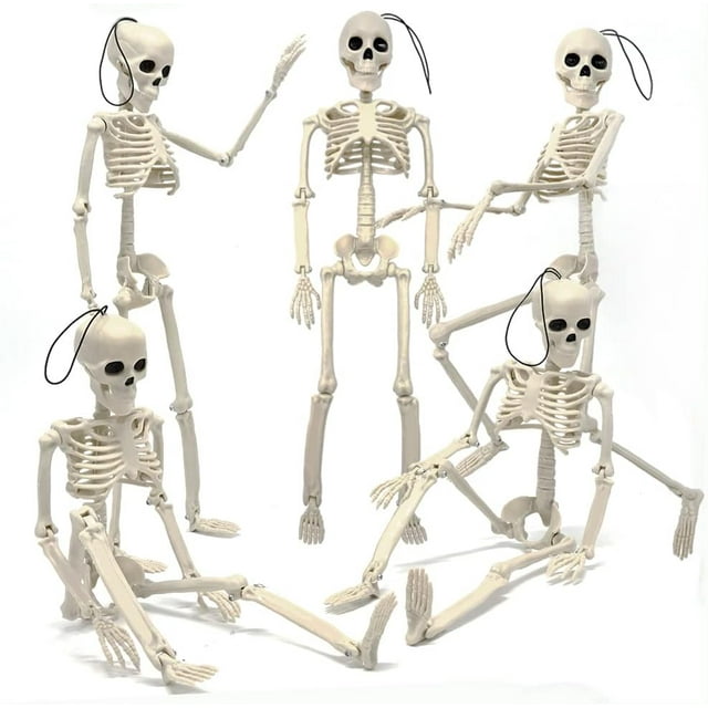 Esqueleto de Halloween de 5,4 pies/165 cm, esqueleto de tamaño completo con capa negra, huesos humanos de tamaño natural para Halloween, patio, jardín, decoración de fiesta espeluznante