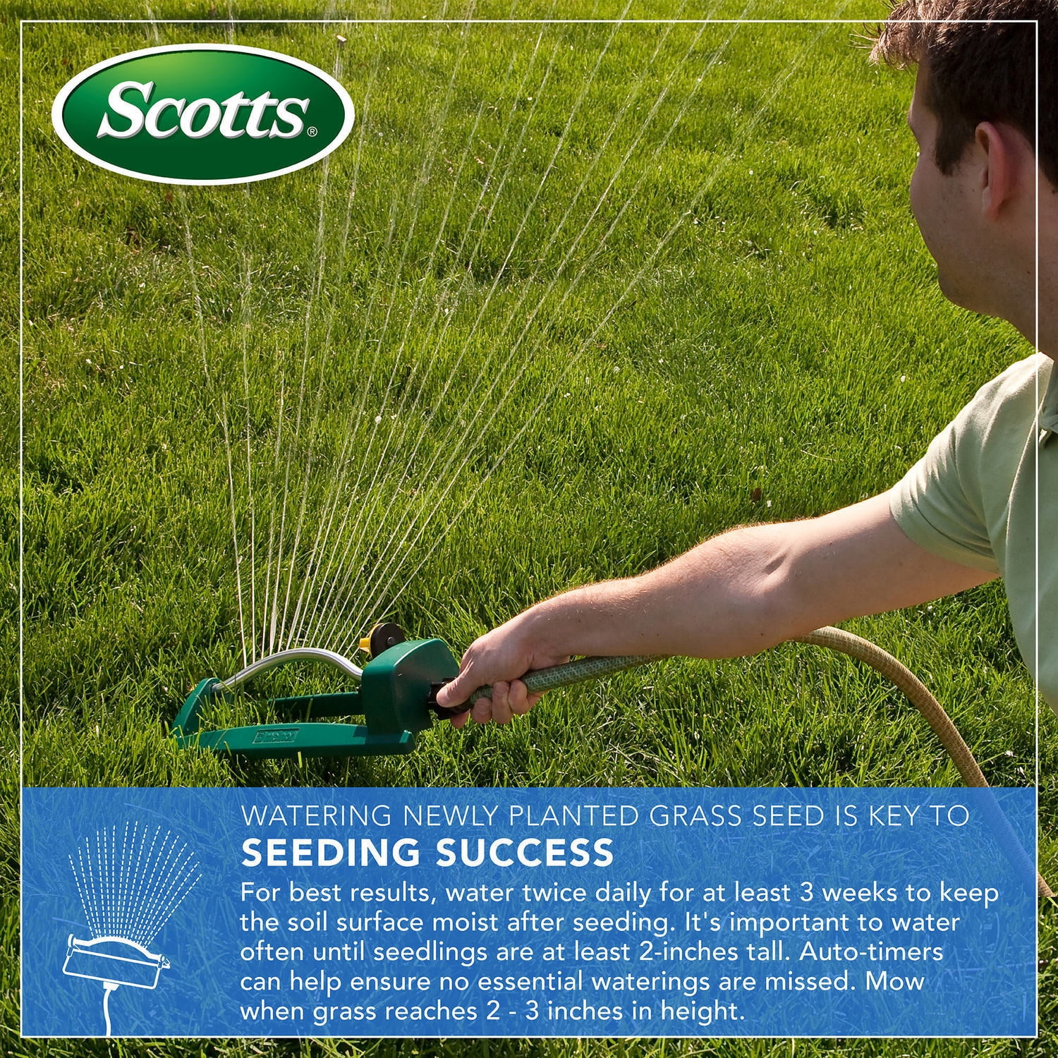 Scotts Turf Builder Tall Fescue Grass Seed, 10 lbs