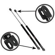 Qty (2) Fits 4Runner 96 To 02 Liftgate Lift Supports (Added Lifting Force)