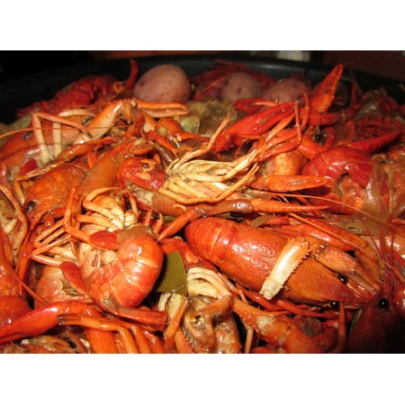 Laminated Poster Crayfish Crawfish Seafood Boiled Food New Orleans Poster Print 11 x