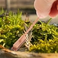 thumbnail image 3 of LUOZZY 13Pcs Miniature Garden Tools Toy Accessories Miniature Farm Tools Desktop Sand Table Decoration, 3 of 7