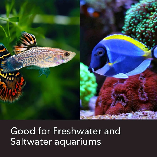clean the fish accessories woth amoneia AmmoSorb Eco Aquarium Ammonia Removal Granules It depends on the amount of ammonia Aqueon Ammonia Neutralizer, 4 oz