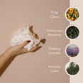 thumbnail image 3 of PAUME Cleansing Hand & Body Wipes 20 Count, 3 of 5