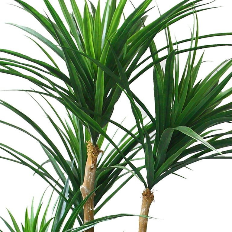 Pure Garden 51-Inch Tropical Yucca Artificial Tree with