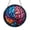 Acrylic 3.5 Inch, variant on Brain Anatomy Style Stained Glass Window Decor – Artistic Illustration