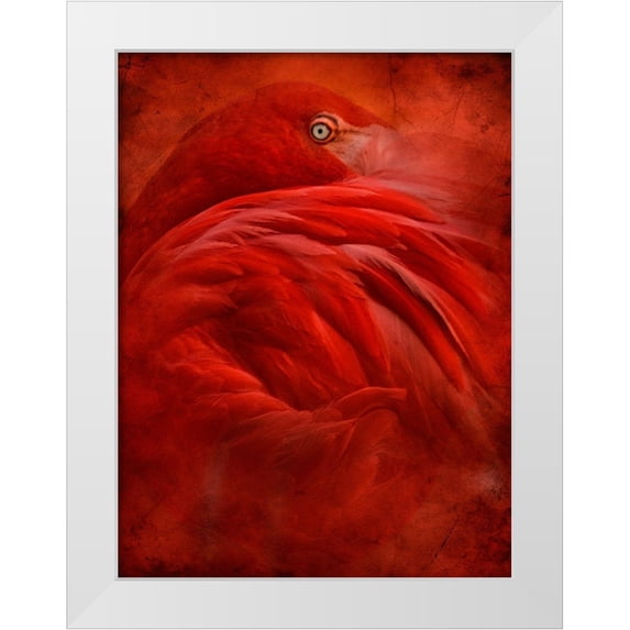 Hummel, Jeffrey 19x24 White Modern Wood Framed Museum Art Print Titled - tropical