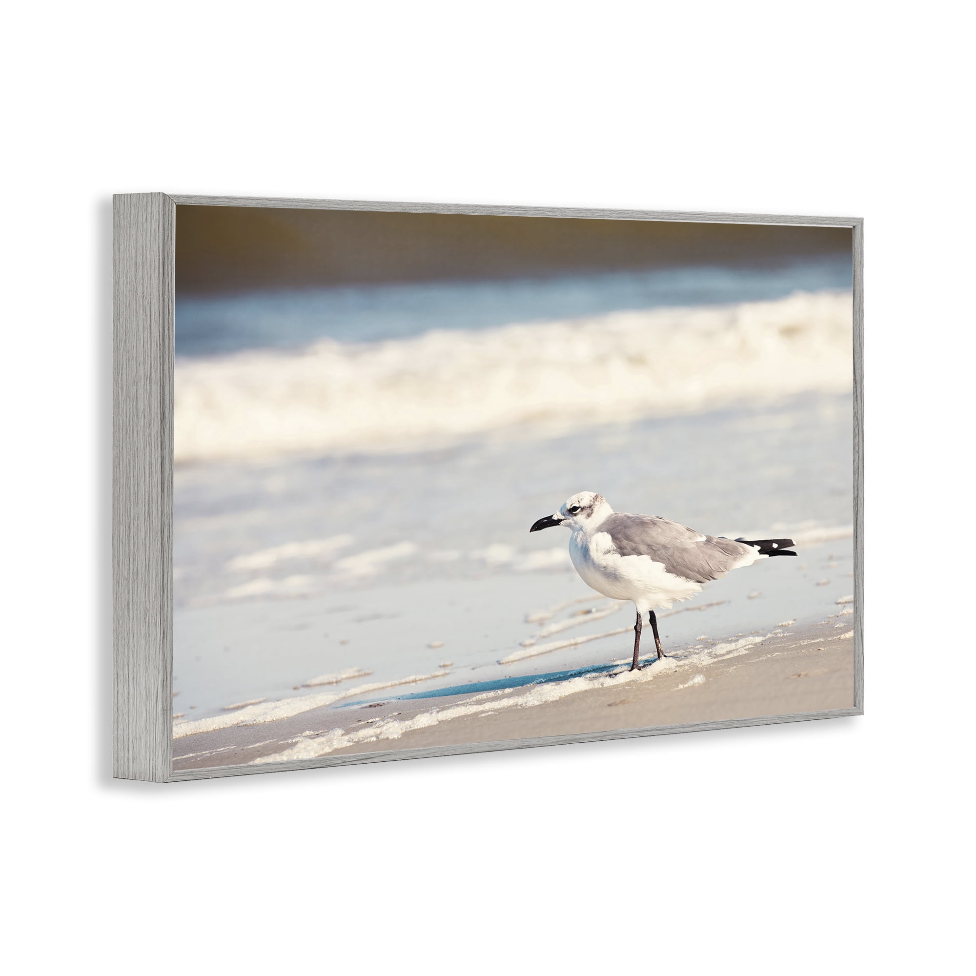 Stupell Industries Seagull Stepping on Shore Coastal Photography Gray Framed Art Print Wall Art, 24 x 16