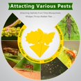 thumbnail image 4 of Minzimin Fruit Fly Traps Indoor Fungus Gnat Trap 20/40/60 PCS for Plants Yellow Houseplants Outdoor Use Insect Sticky, 4 of 8