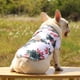 thumbnail image 3 of Camisa para perro con estampado de piñas ajustable para gato y cachorro, 3 of 5