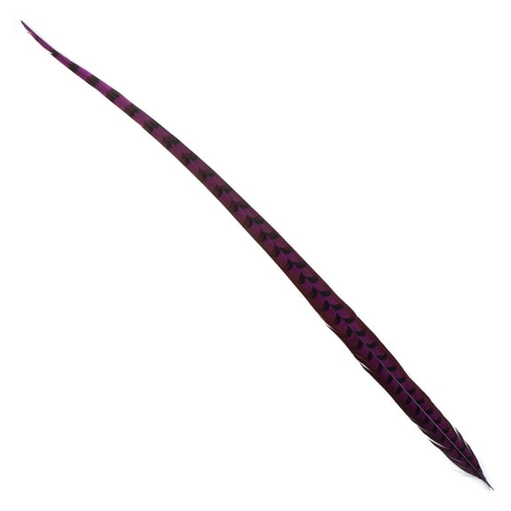 ZUCKER® 1 pc 30-40" (76-101 cm) Very Berry Purple Dyed Pheasant Tail Feather Wedding Decor