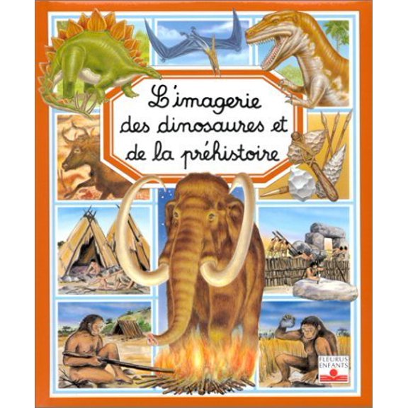 Pre-Owned DINOSAURES ET DE LA PREHISTOIRE (Hardcover) 2215060794 9782215060796