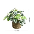 thumbnail image 3 of Eolstice Artificial Potted Plants, Assorted Mini Faux Leaf Shrub In Straw Basket, Multi Style Small Tabletop Planter, For Indoor Shelf Desk Home Decorative Planter, 3 of 6