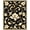 Black, Pattern 2, variant on Flatwoven High Traffic Area Rug, Vintage Botanical Ornamental, Non Slip, Stain Resistant, Washable Area Rugs for Living Room, Bedroom(Beige, 2X3)