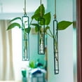 thumbnail image 5 of Glass Hanging Planter, Indoor Outdoor Transparent Test Tube Planter Iron Art Hydroponic Terrarium Container for Home Decor, 5 of 5