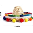 thumbnail image 3 of Crazy Night Mini Sombrero Top Hat Headband Tiny Straw Hat Small Sombreros for Dog Cat,Mexican Fiesta Birthday Party Supplies Table Decoration, 3 of 7