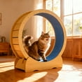 thumbnail image 4 of DIANYVAV 42" Indoor Cat Exercise Wheel, Quiet Sturdy Solid-Wood Treadmill with Removable Carpeted Runway, Large Running Wheel for Walking & Cat Training, 4 of 14