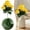 B1_14.17" Yellow, variant on ERTZAE Faux Pink Eucalyptus Stem,Flexible Wired Branch For Tall Vase Arrangements,Mediterranean Style Artificial Eucalyptus Branch,34.3-Inch 5-Branch Pink Leaves for Home Decor,Wedding Bouquets