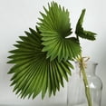 thumbnail image 4 of 3 Piezas Hojas de Palma Artificiales Manojo de Plantas Falsas de PláStico Verde Hojas de SimulacióN Arreglo de Flores DecoracióN del Hogar, 4 of 5