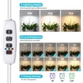 thumbnail image 3 of Halo Ring Grow Lights for Small Indoor Plants, Warm+White 48LEDs Full Spectrum Plant Light, Height Adjustable with 5V 2A Adapter, 3/9/12H Timer, 3 Spectral Modes, 10 Dimmable Levels, Angel Ring 1 Pack, 3 of 7