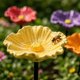 thumbnail image 3 of HWRETIE Handmade Ceramic Pollinator Watering Station Bee Butterfly Bird Bath Colorful Garden Stake Outdoor Decorative Wildlife Water Feeder Gift, 3 of 7