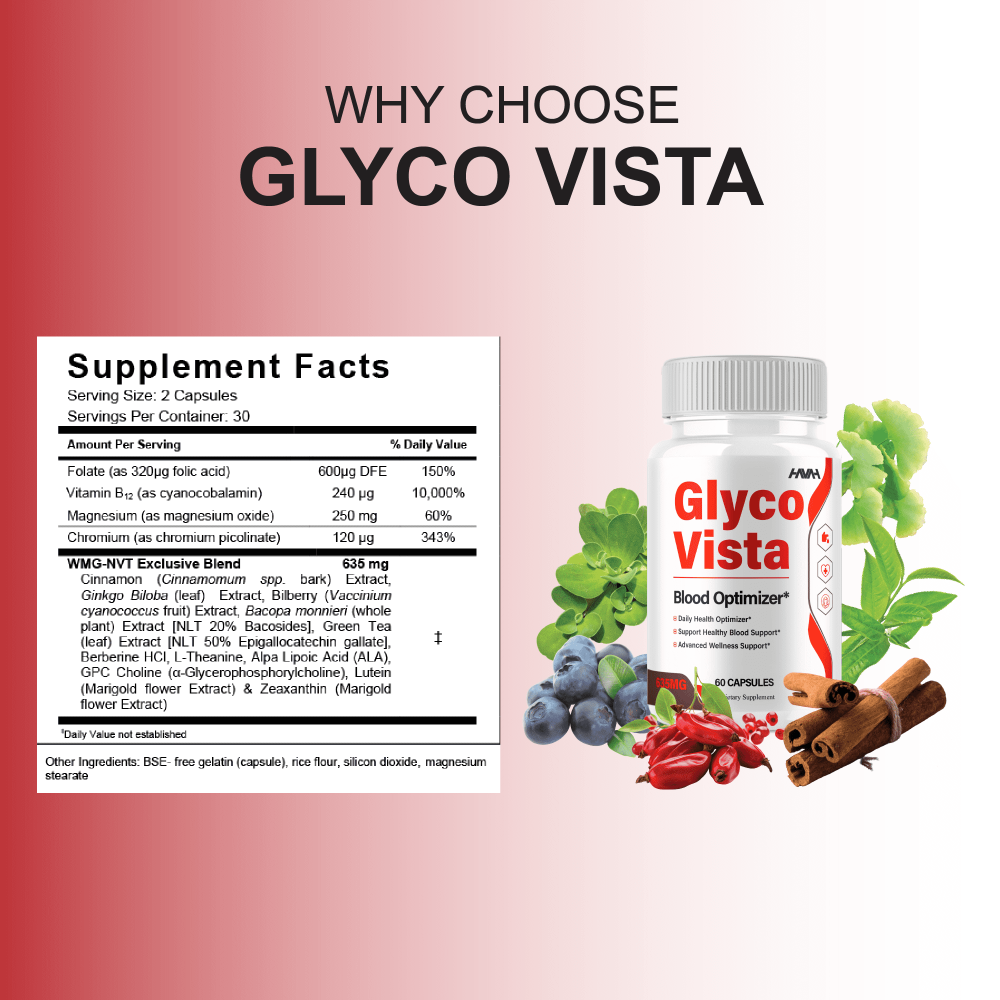 Glyco Vista Wellness Support, GlycoVista Supplements (60 Capsules)
