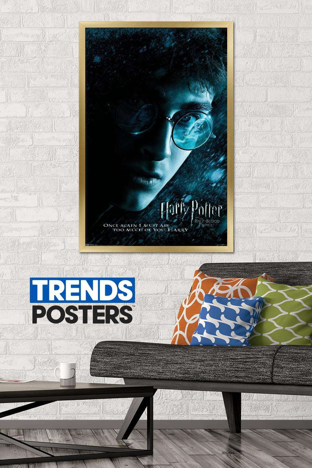 Harry Potter and the Half-Blood Prince - Harry Close-up One Sheet Wall Poster, 22.375" x 34", Framed