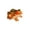 C, variant on Sunxin Desktop Ornament 2 Pcs Miniature Frog Statue Outdoor Garden Frog Figurines Decoration Mini Cute Frog Figures for Patio Yard Fairy Garden Ornaments, 2* Simulated Frog Figurines