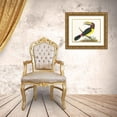 thumbnail image 3 of George Shaw 23x20 Gold Ornate Framed and Double Matted Museum Art Print Titled - Green Toucan (1789-1813), 3 of 4